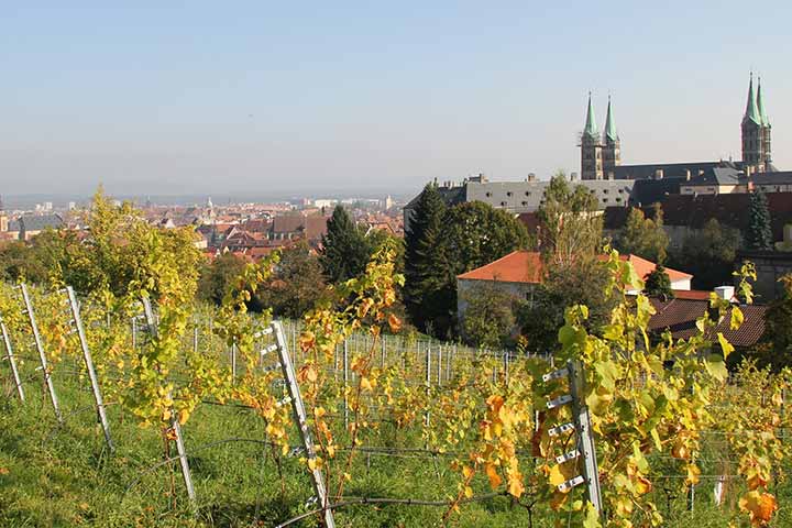 Michaelsberg Bamberg Weinberg